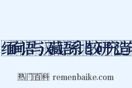缅甸语与汉藏语系比较研究造句是什么意思的图片